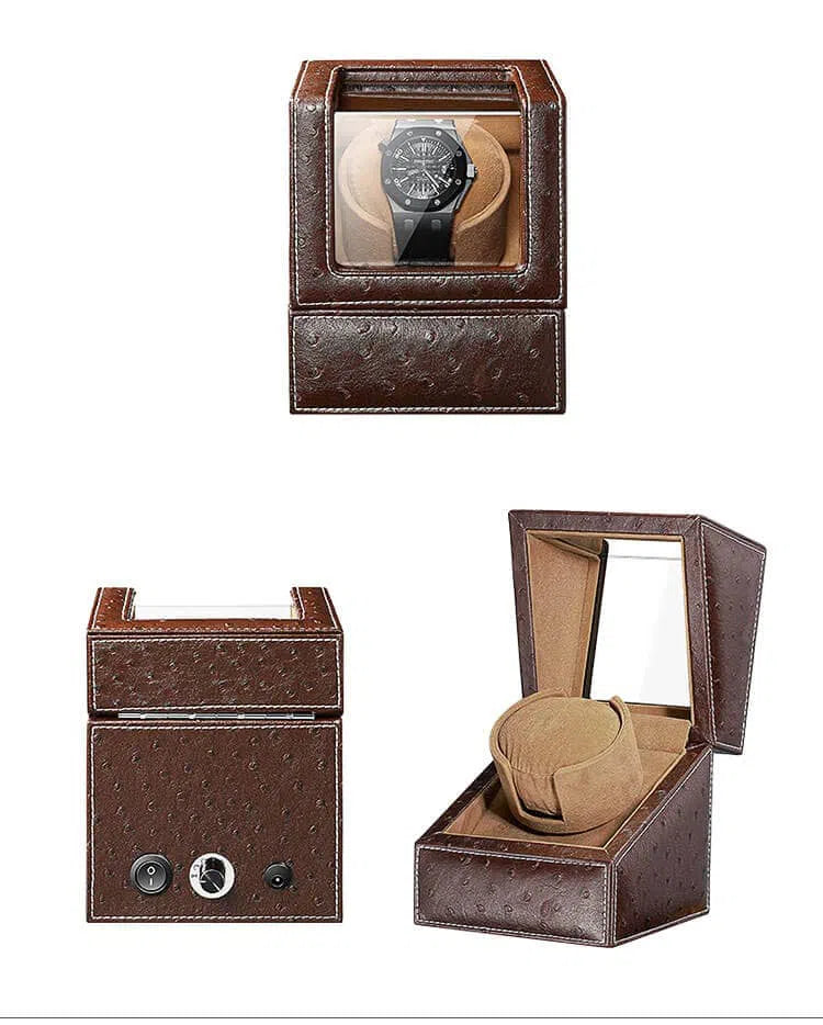 Remontoir Automatique 1 Montre – Autruche