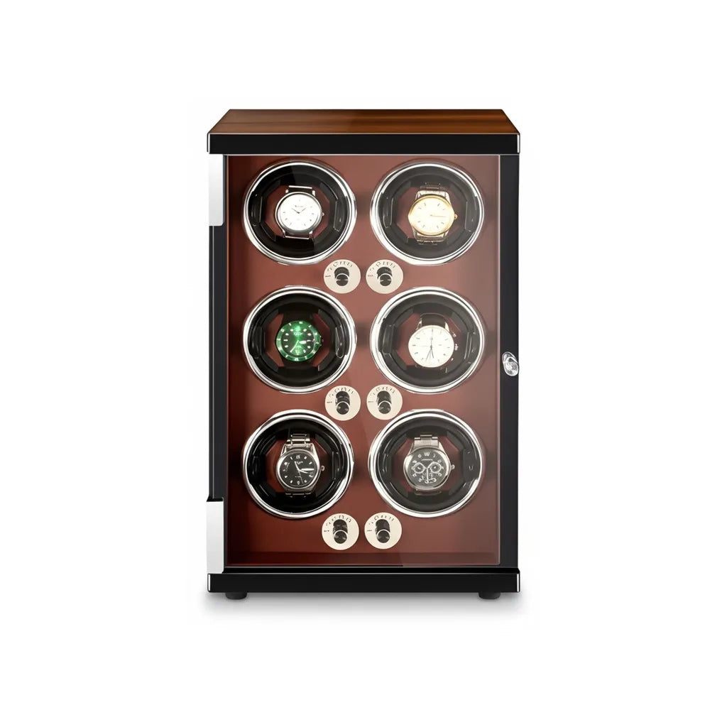 Remontoir Automatique « Nervure » – 6 Montres