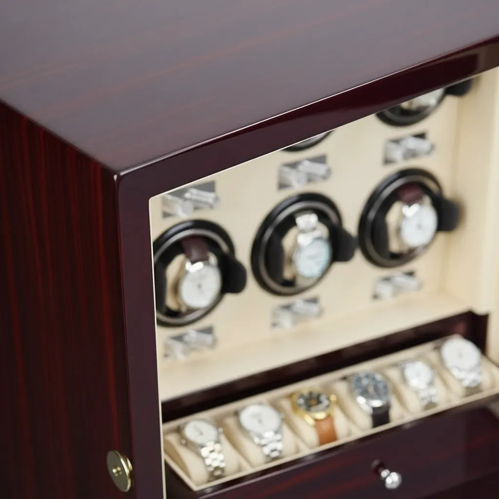 Remontoir Automatique « Ronce » – 6 Montres