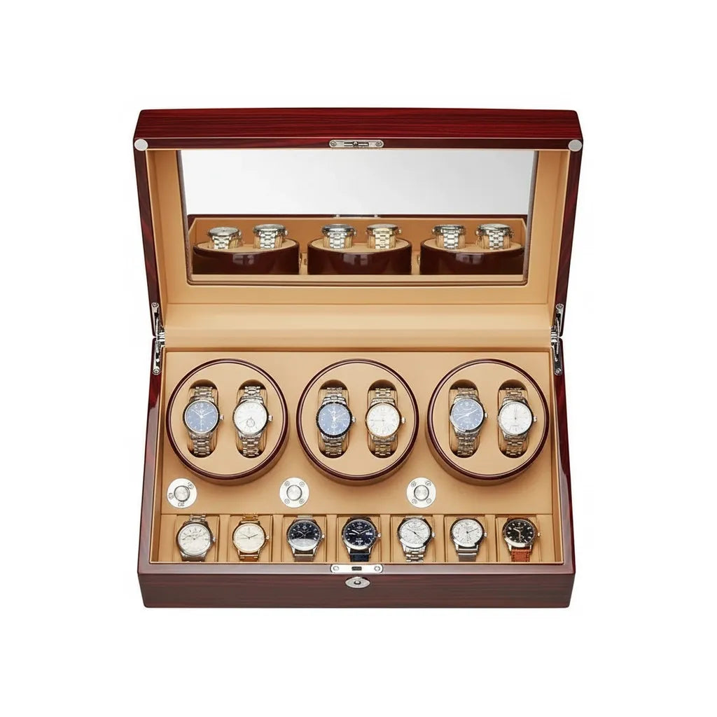 Remontoir Automatique « Santal » – 6 Montres