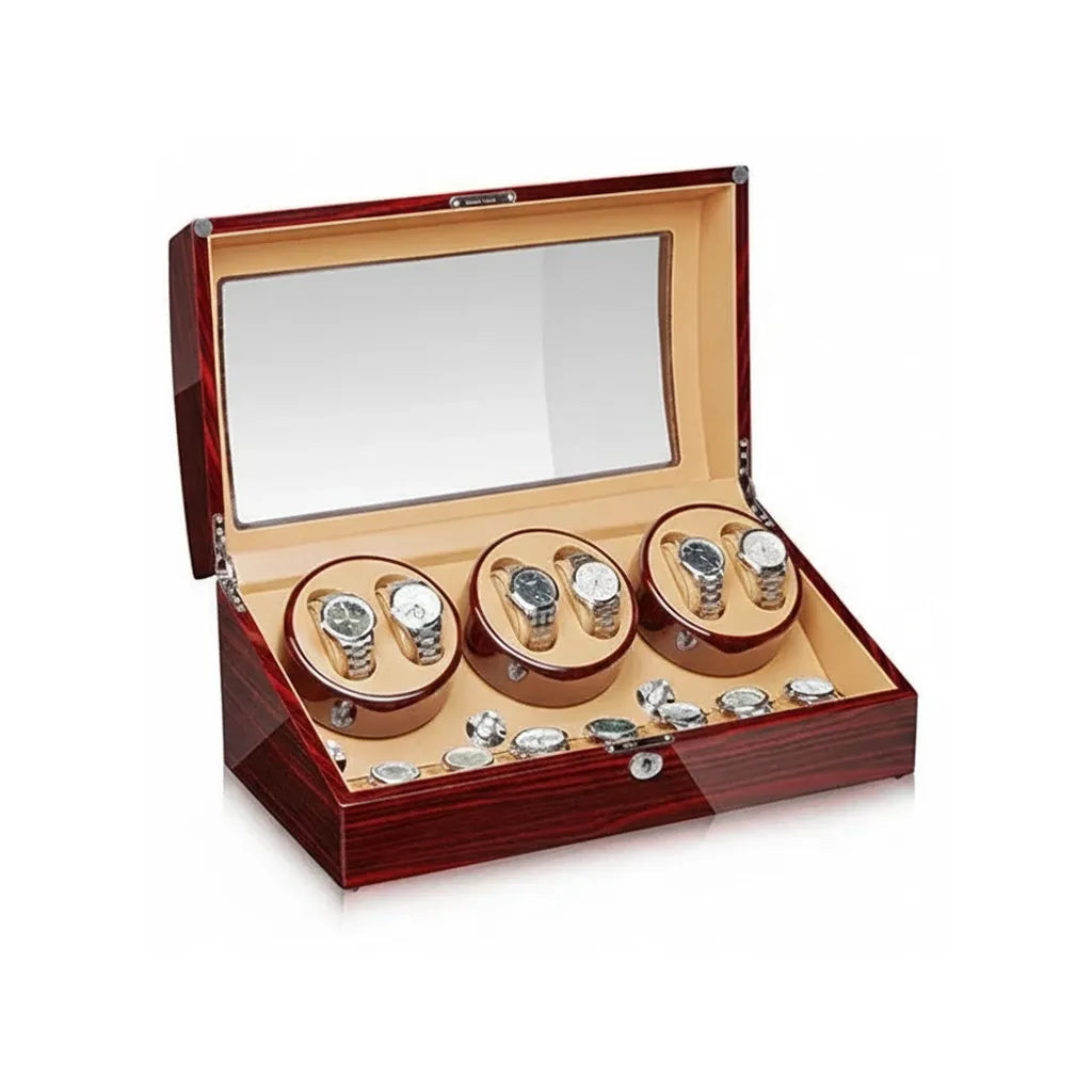 Remontoir Automatique « Santal » – 6 Montres